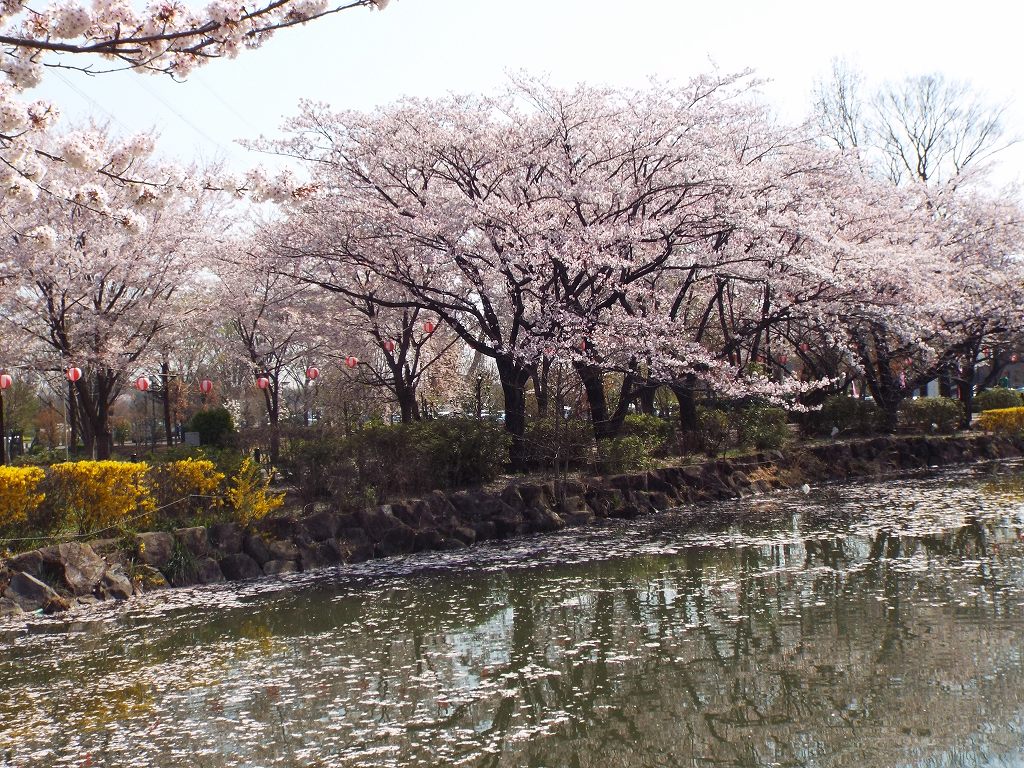 ���v�̎ʐ^��