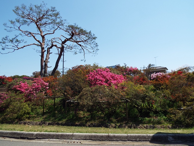 ���v�̎ʐ^��