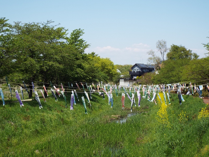 ���v�̎ʐ^��