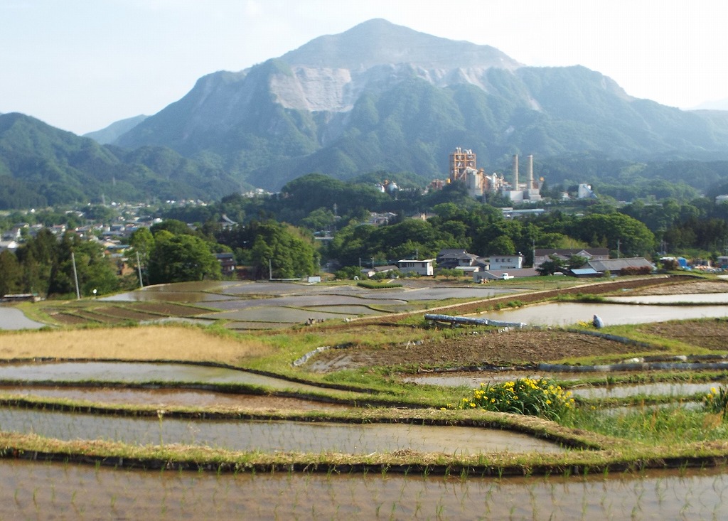 ���v�̎ʐ^��