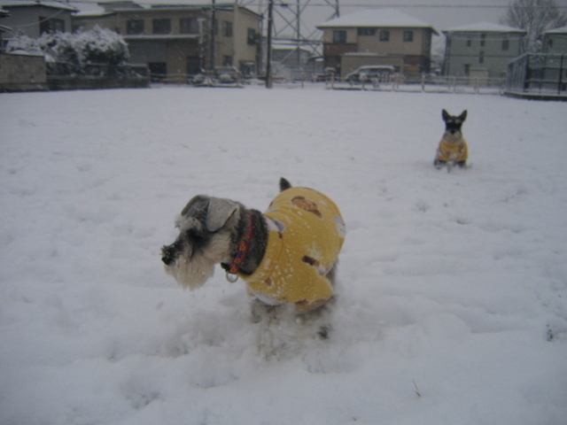 Kama Aina Hawaiian web Site