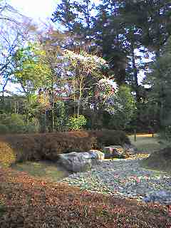 �D������̓Ƃ茾