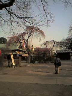 �D������̓Ƃ茾