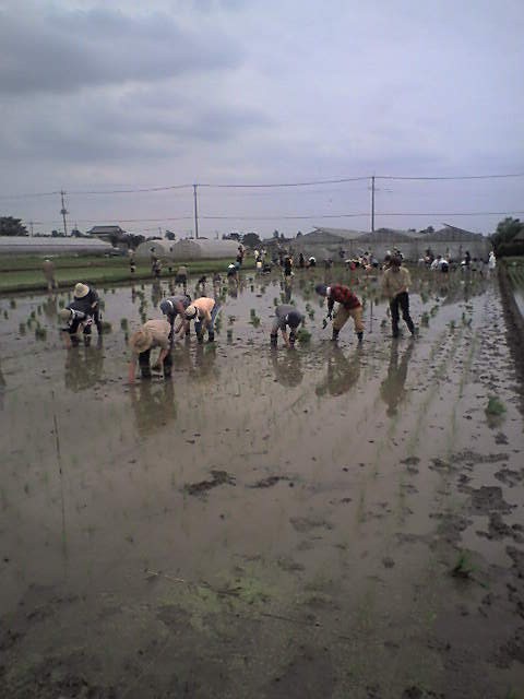 �D������̓Ƃ茾