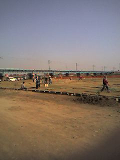 �D������̓Ƃ茾