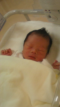 �����z������