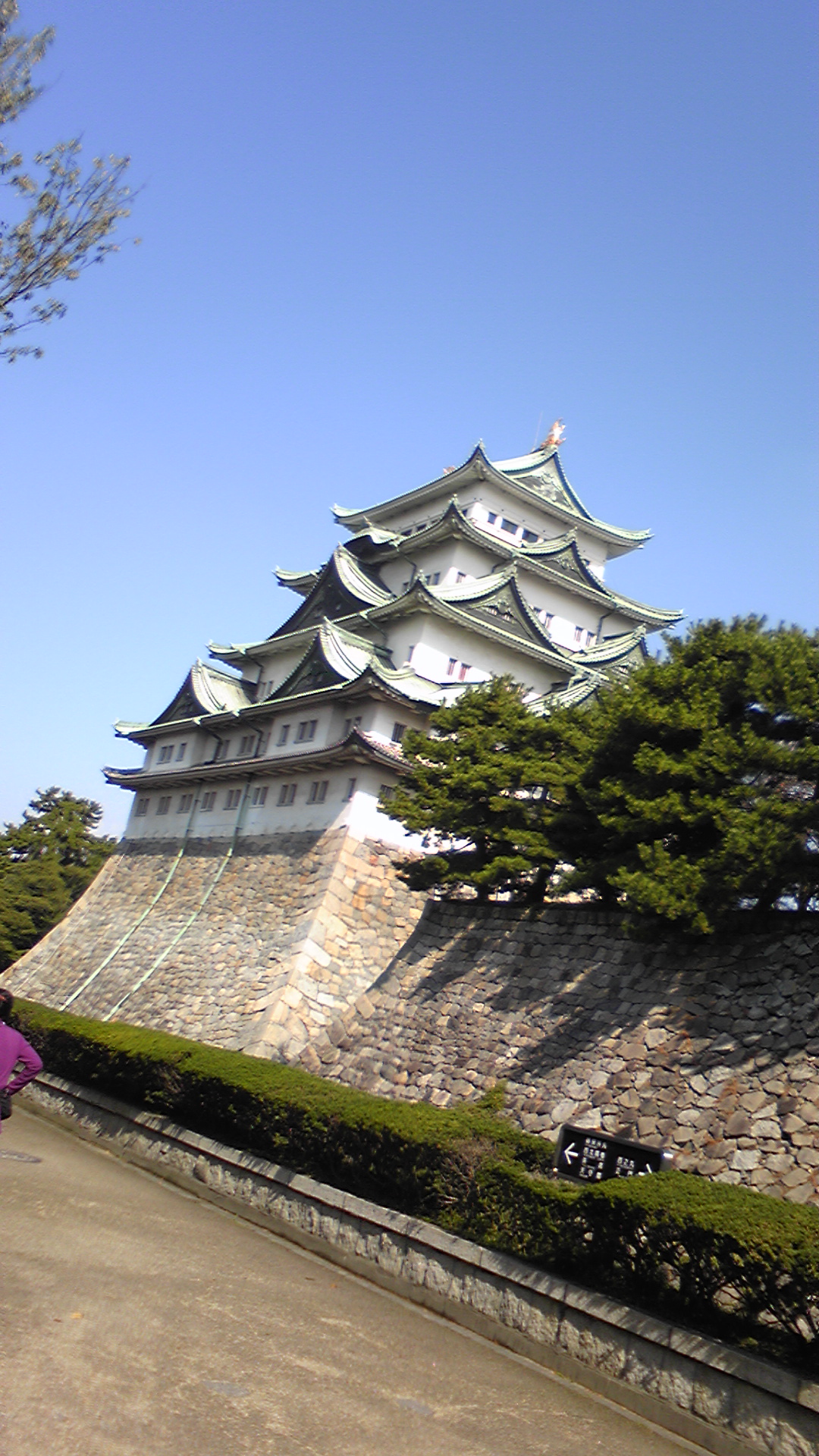 �����z������