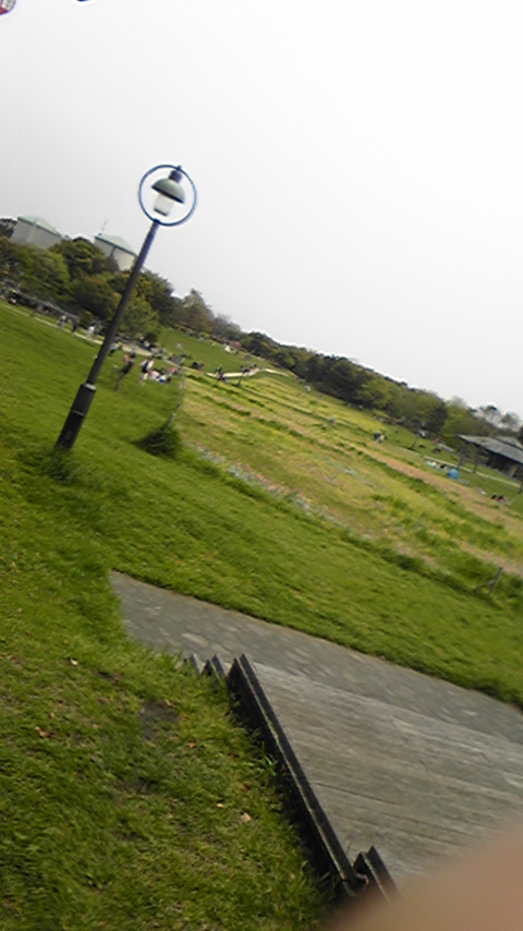 �����z������