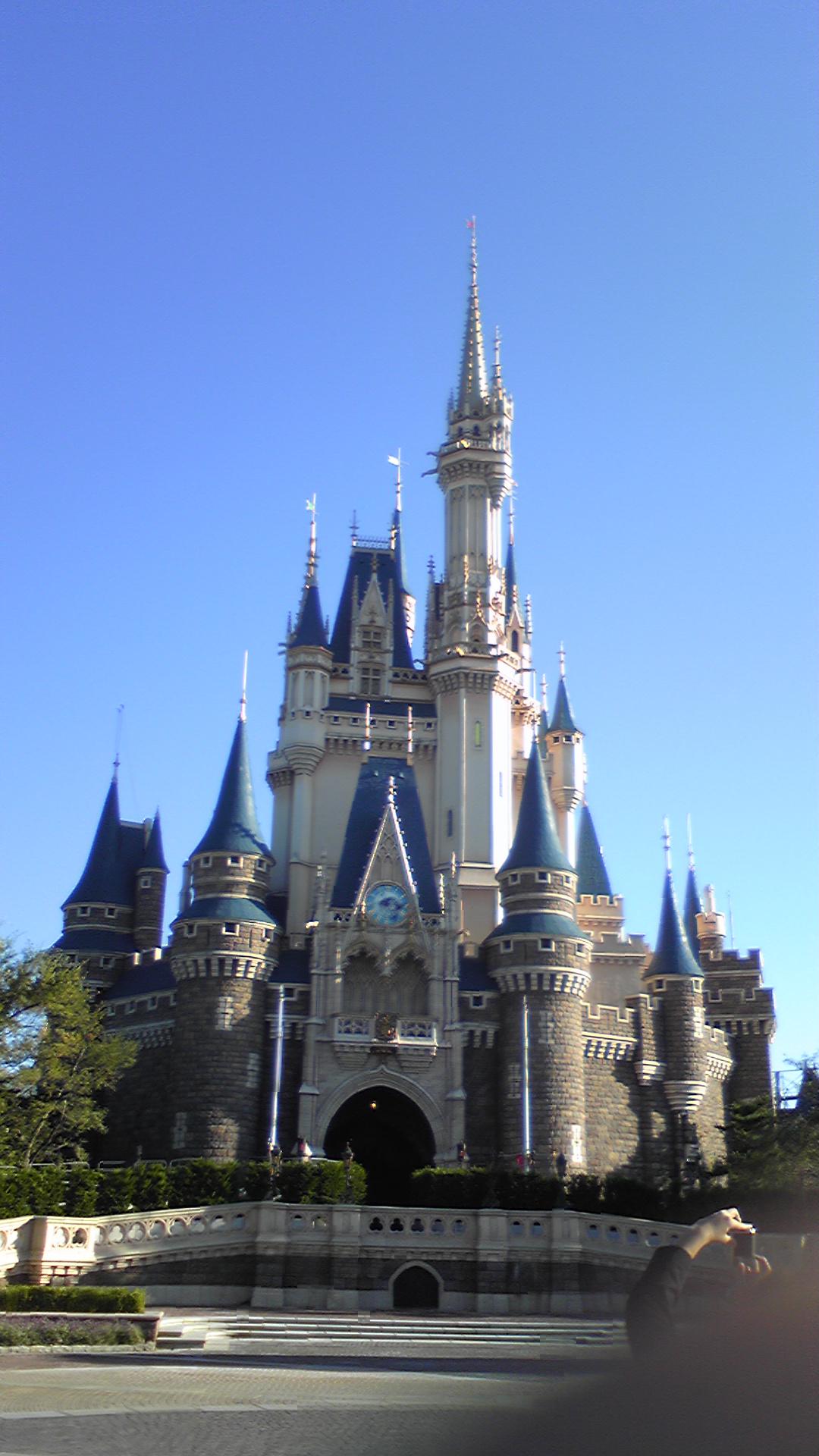 �����z������