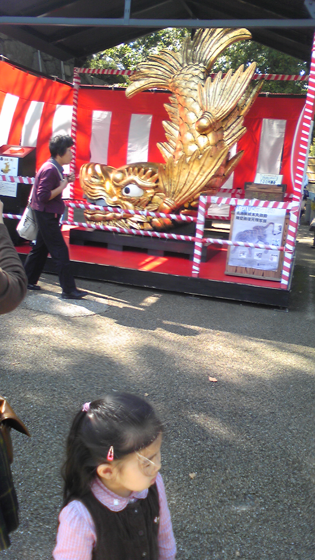 �����z������