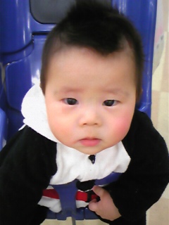 �����z������