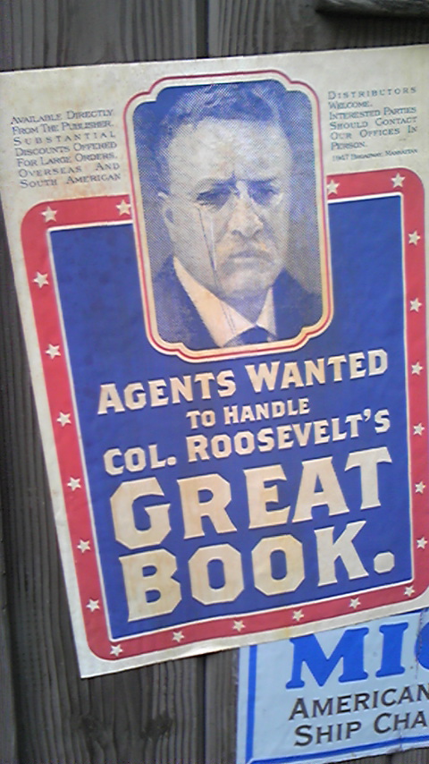 �����z������