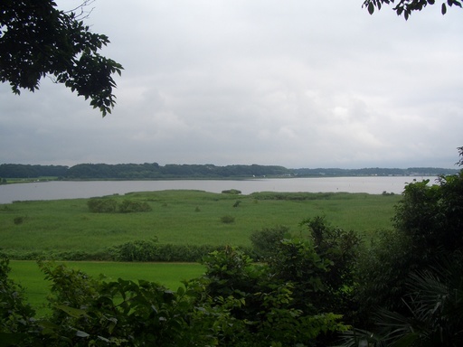 ��܂��̕���