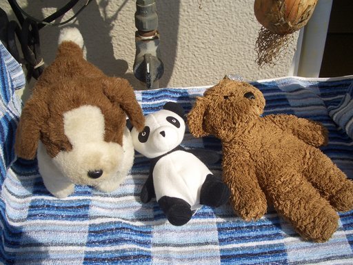 ��܂��̕���