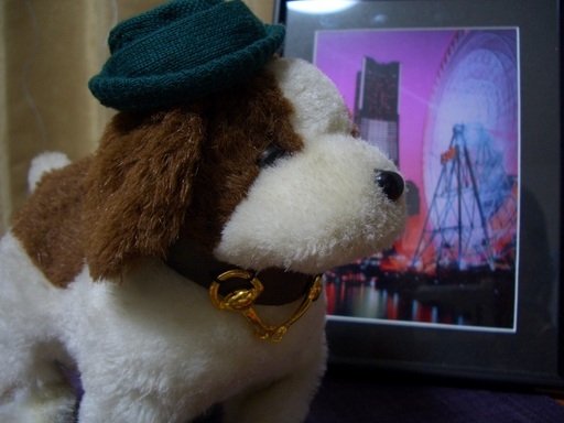 ��܂��̕���