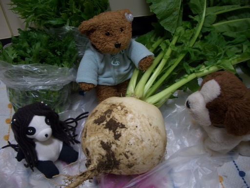 ��܂��̕���