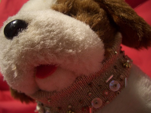 ��܂��̕���