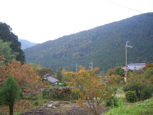 ��܂��̕���