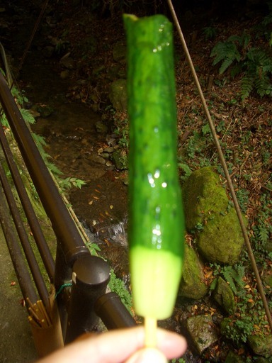 ��܂��̕���