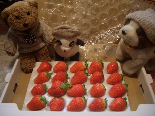 ��܂��̕���