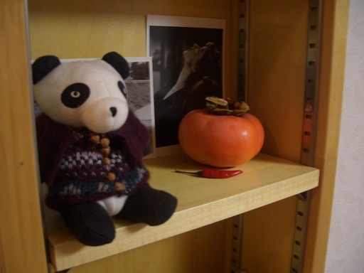 ��܂��̕���