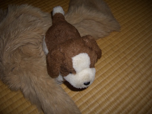 ��܂��̕���