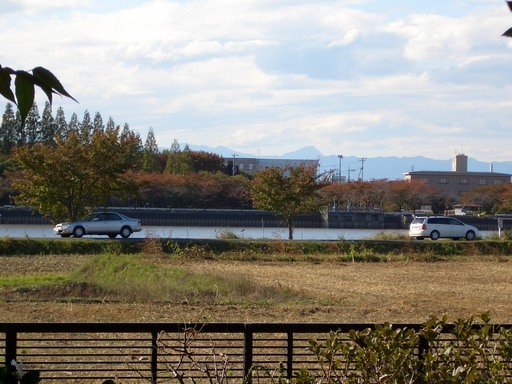 ��܂��̕���