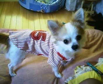 ���ٓ̕�����