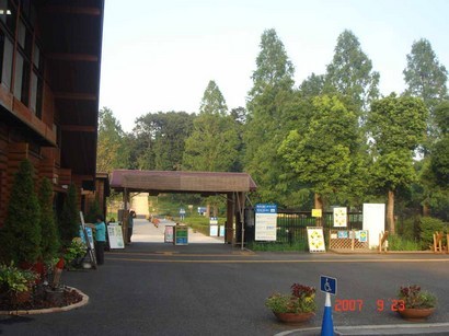 �������̑����猩�镗�i