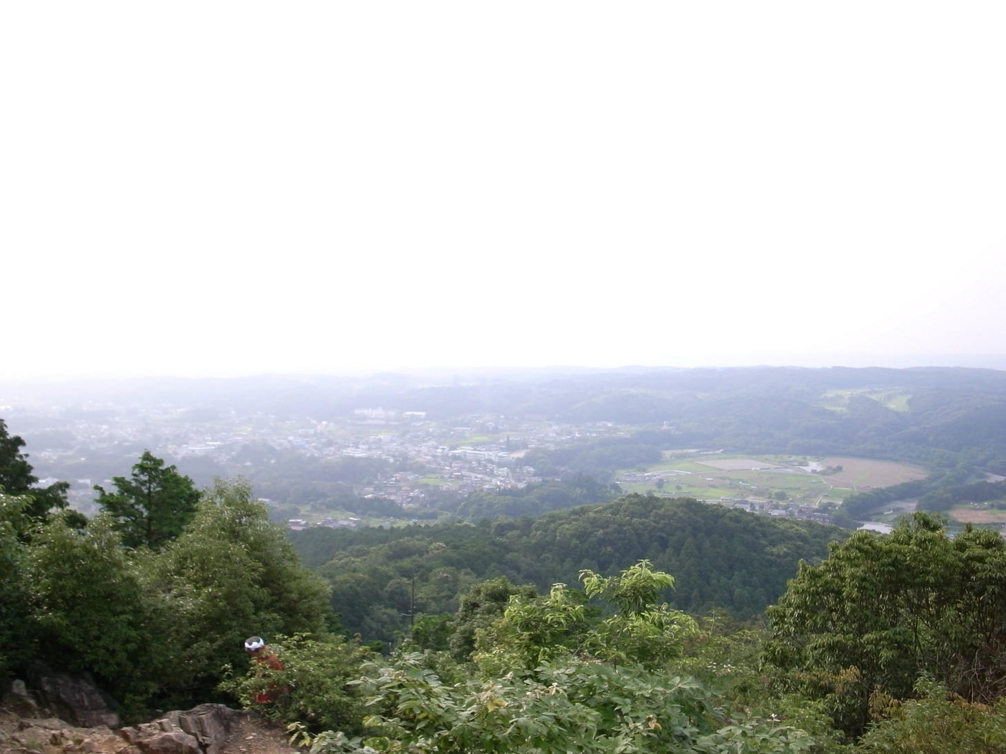 �������̑����猩�镗�i