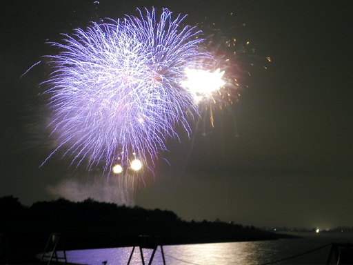 �������̑����猩�镗�i