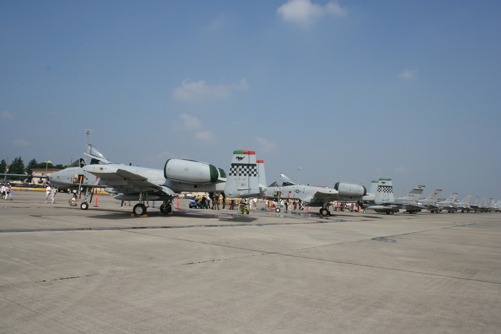 �A���o�g���X�̎G�L��