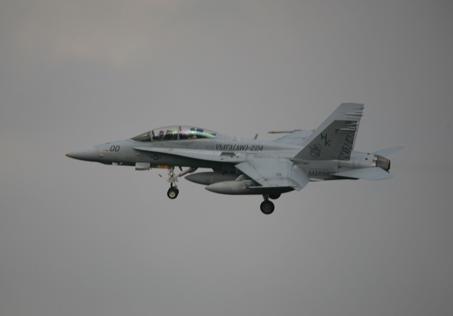 �A���o�g���X�̎G�L��