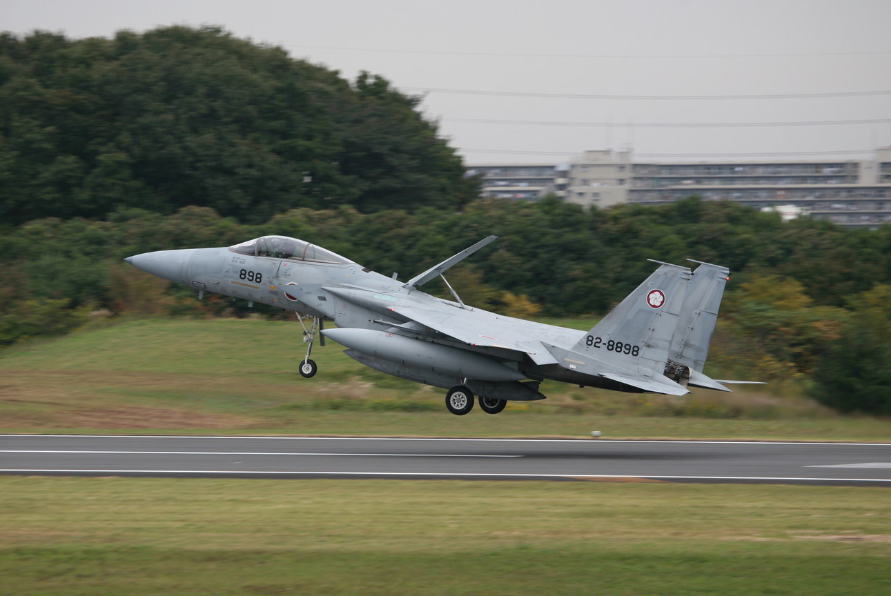 �A���o�g���X�̎G�L��