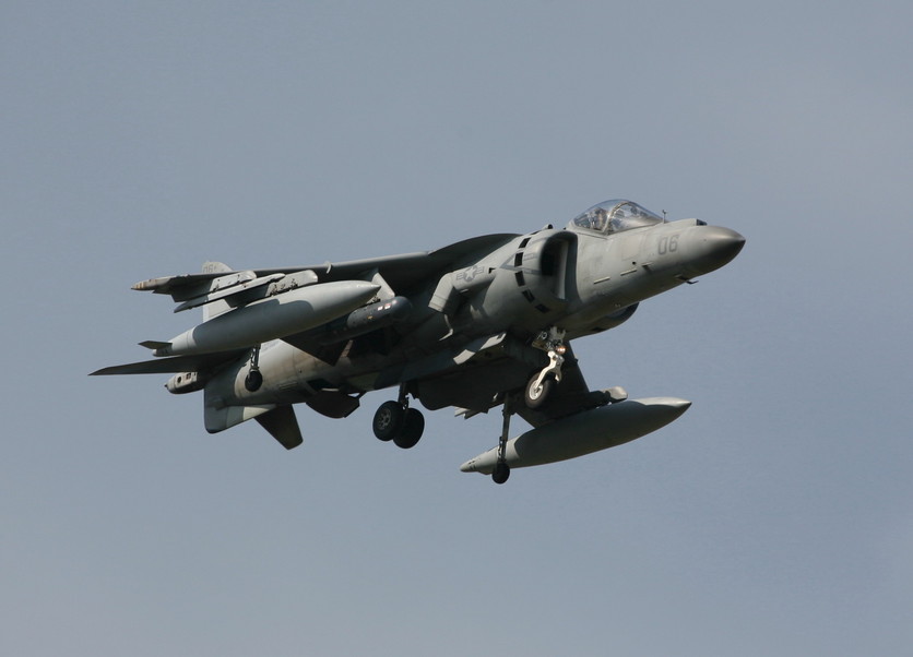 �A���o�g���X�̎G�L��