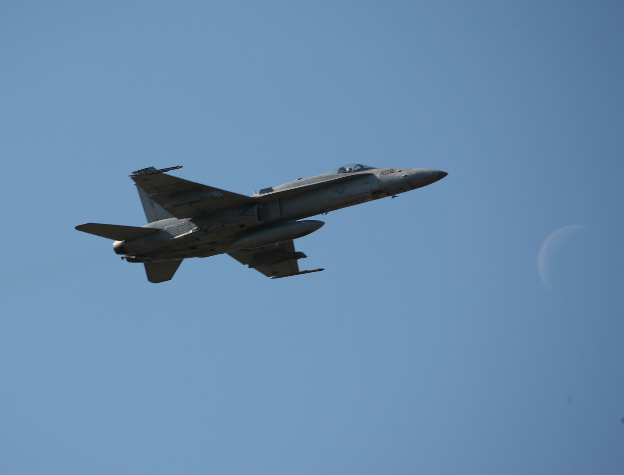 �A���o�g���X�̎G�L��