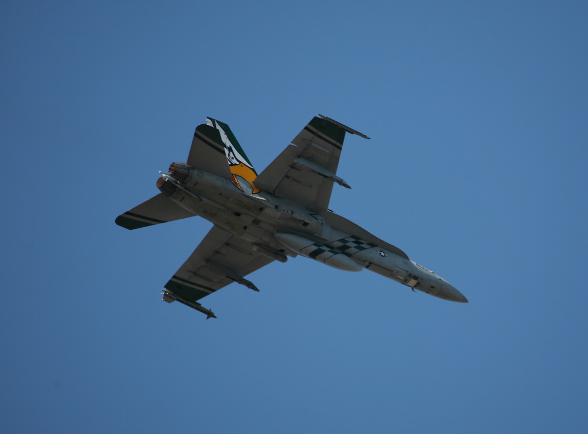 �A���o�g���X�̎G�L��