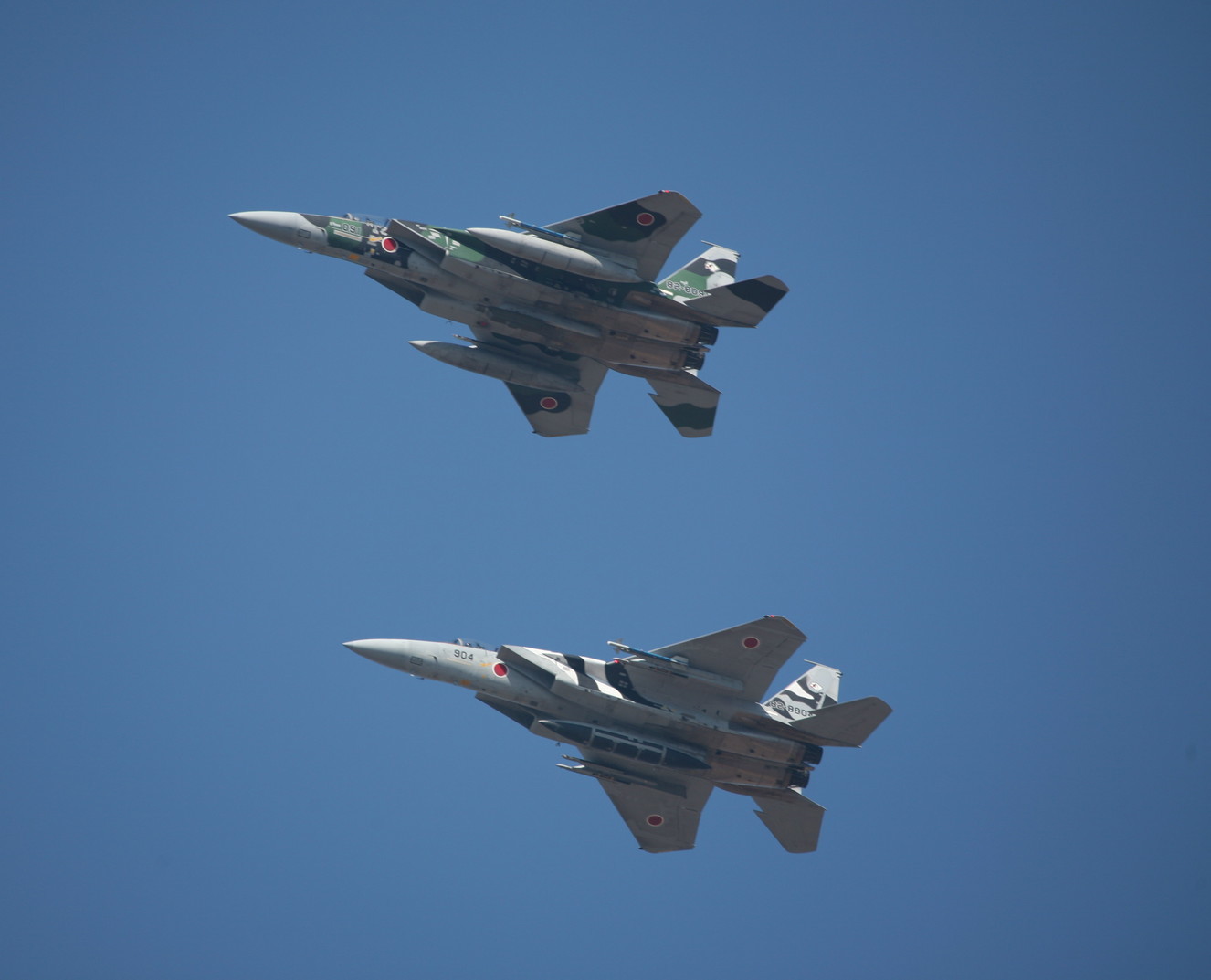 �A���o�g���X�̎G�L��