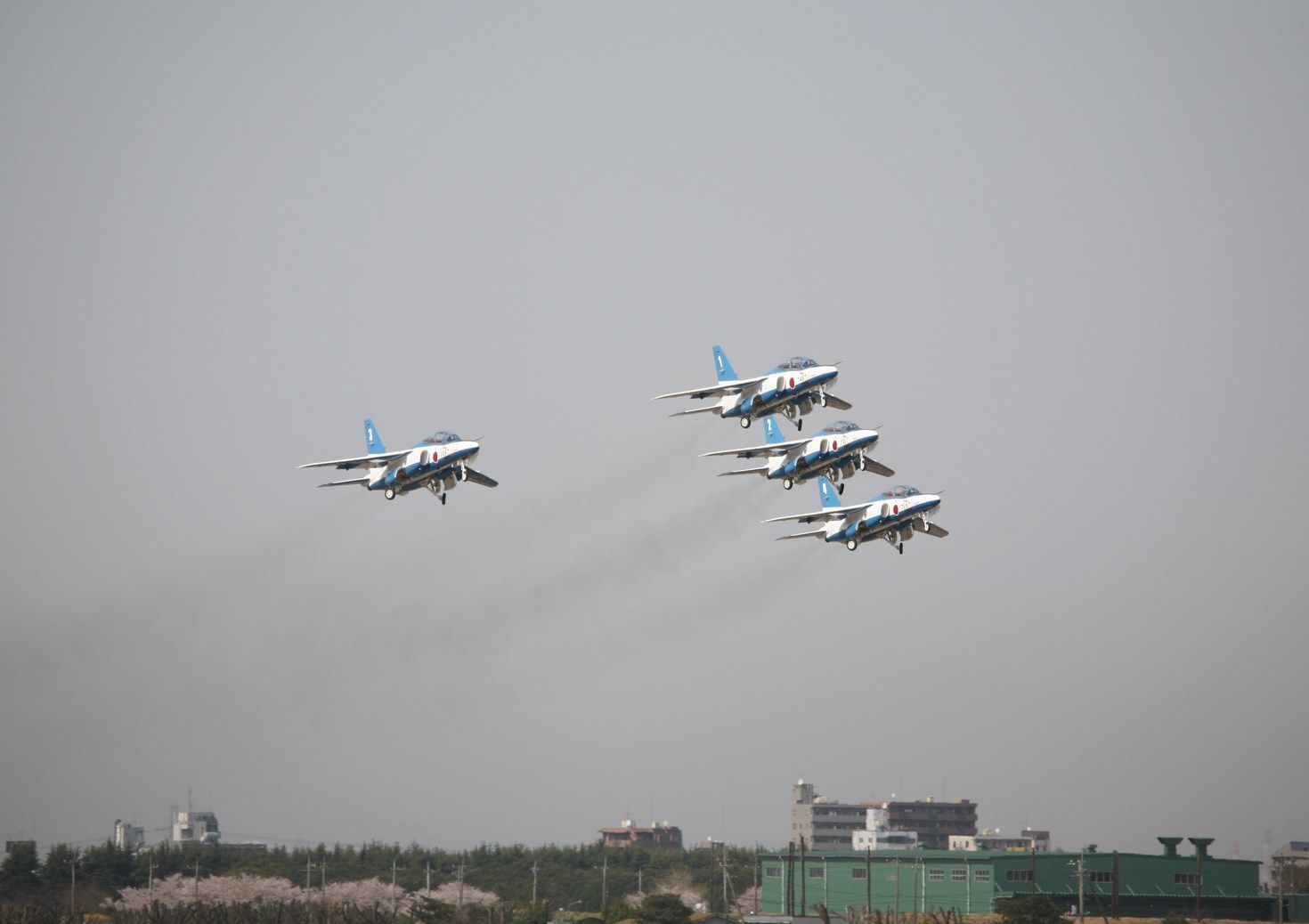 �A���o�g���X�̎G�L��