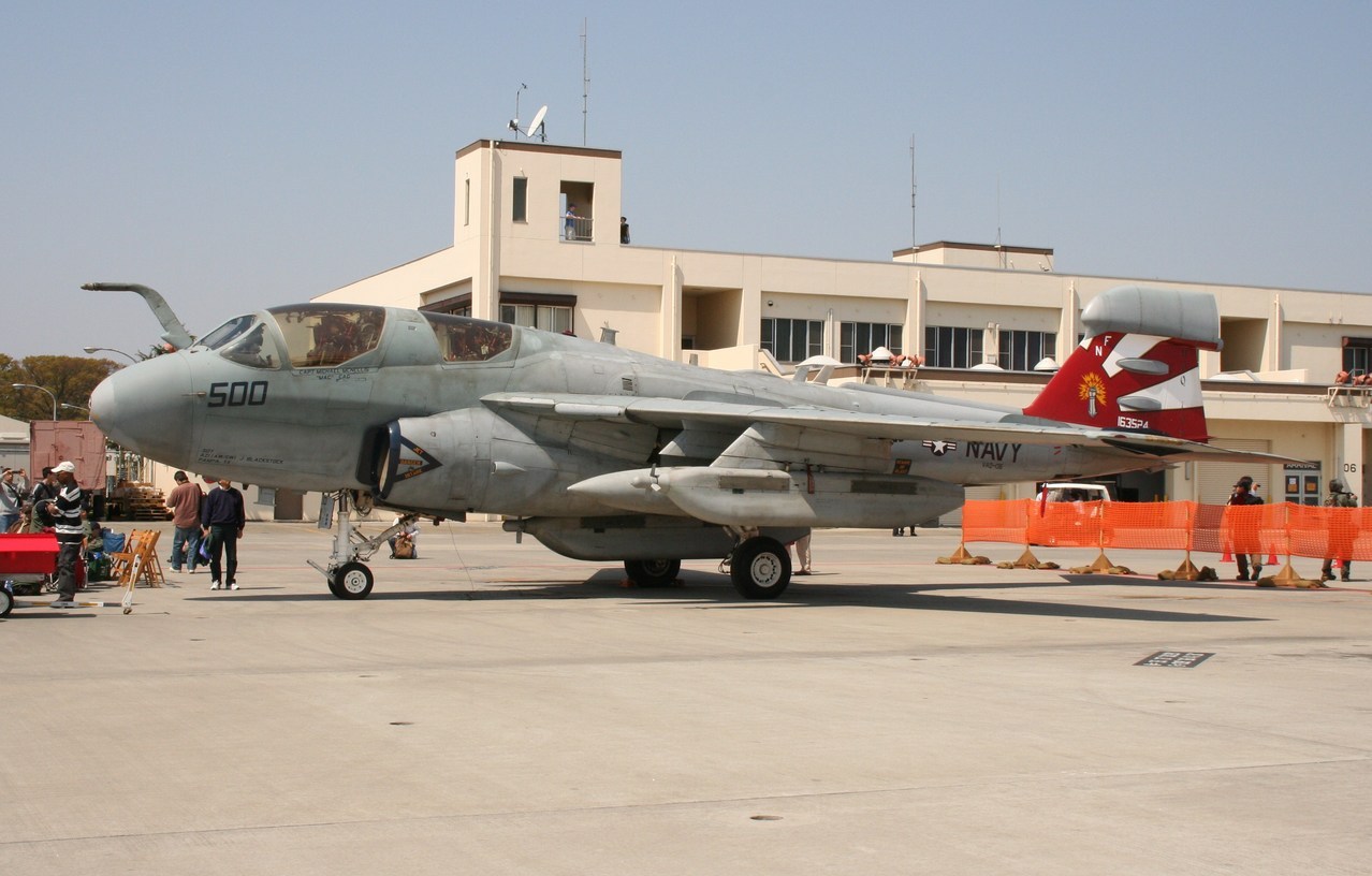 �A���o�g���X�̎G�L��