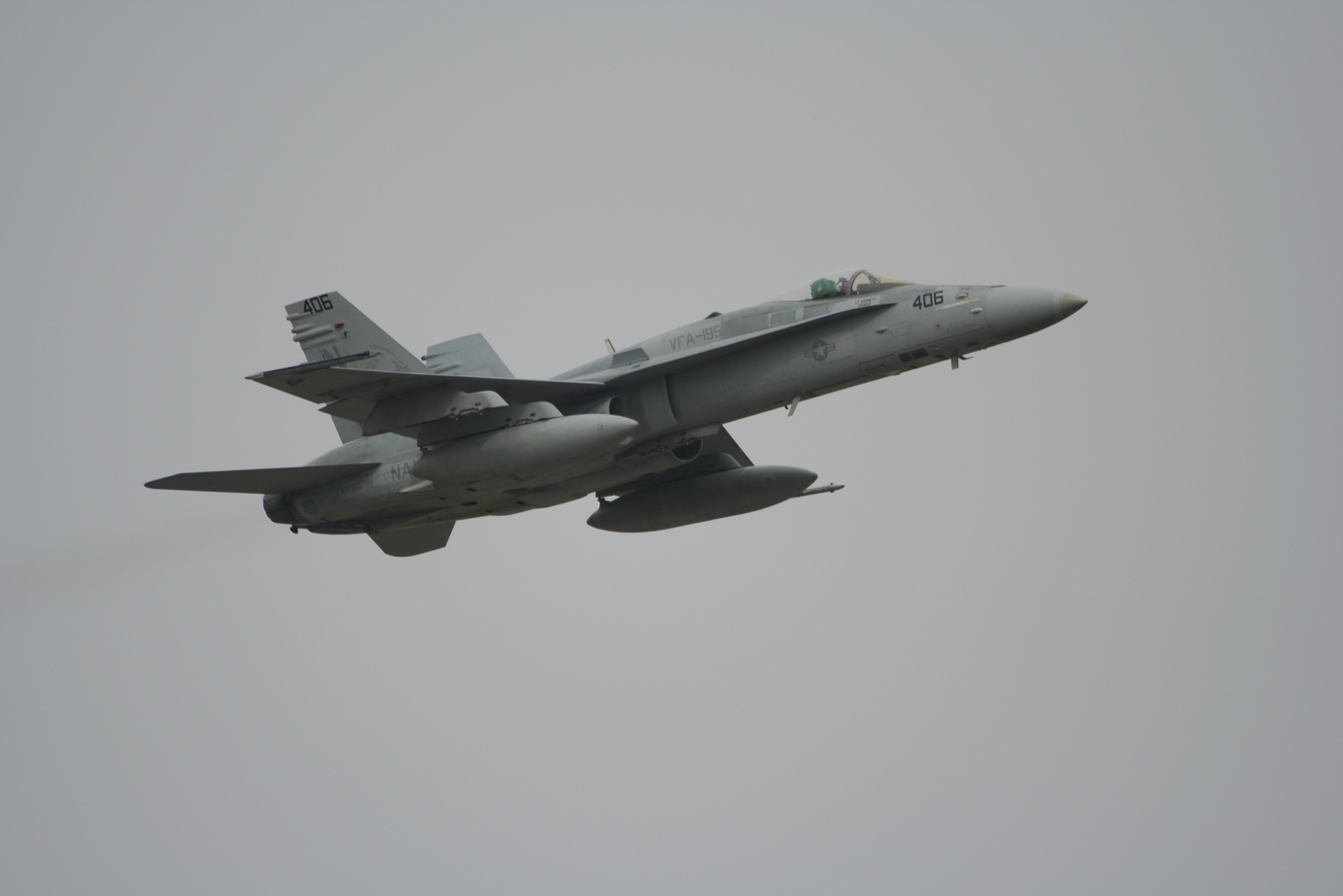 �A���o�g���X�̎G�L��