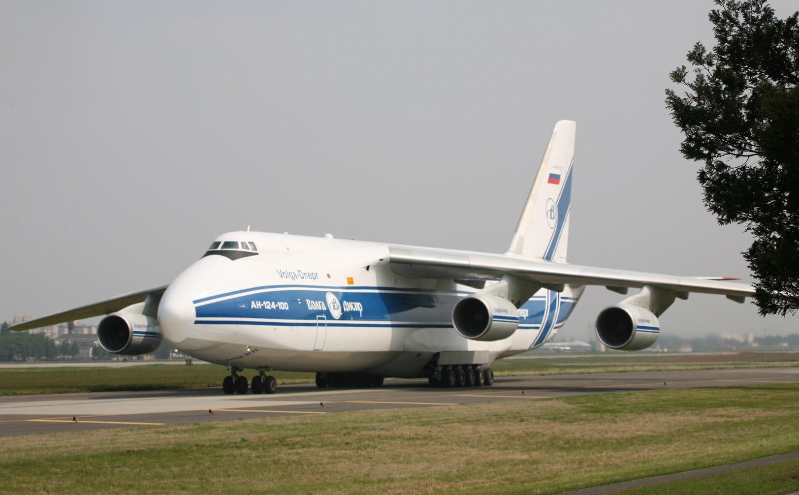 �A���o�g���X�̎G�L��