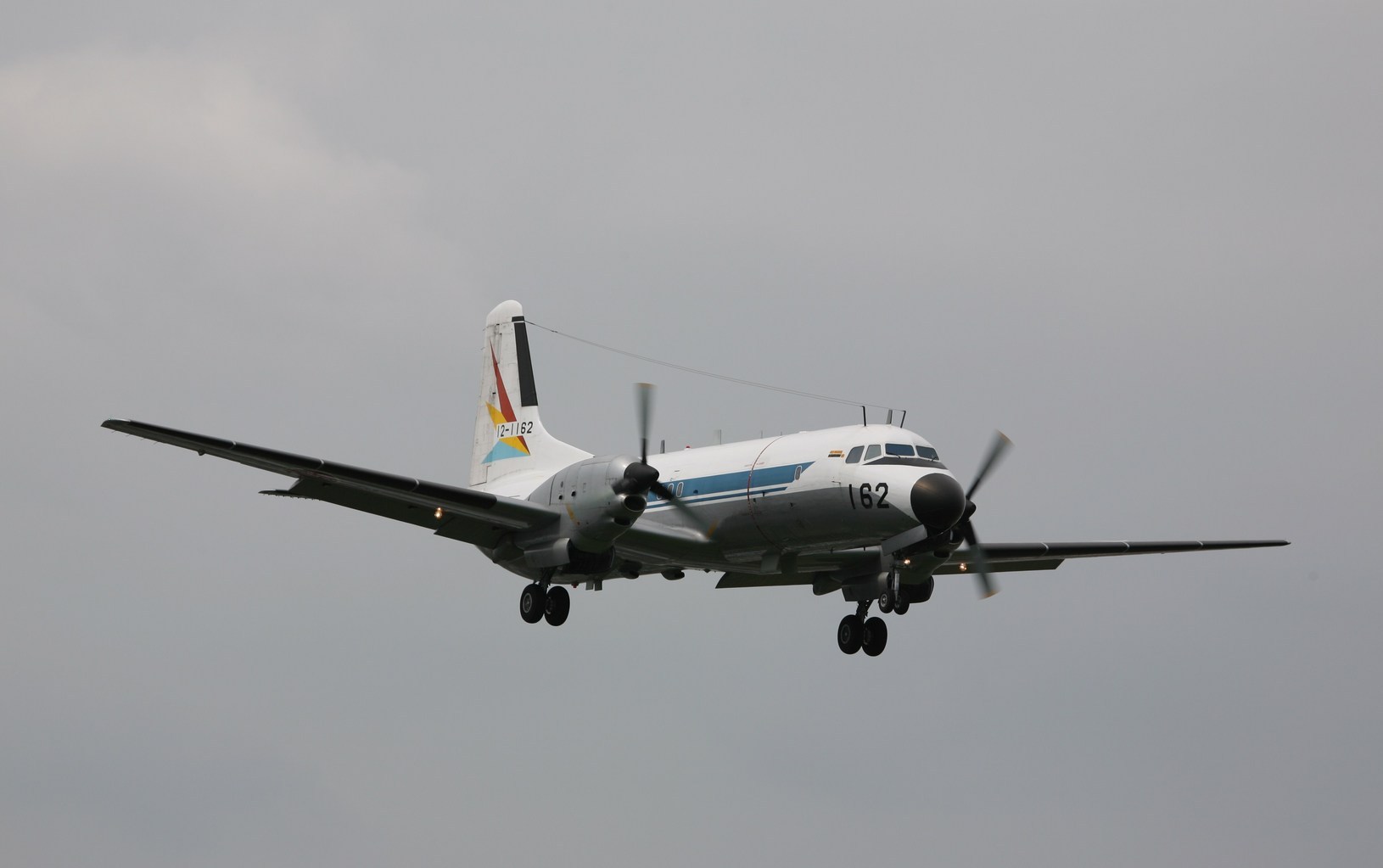 �A���o�g���X�̎G�L��