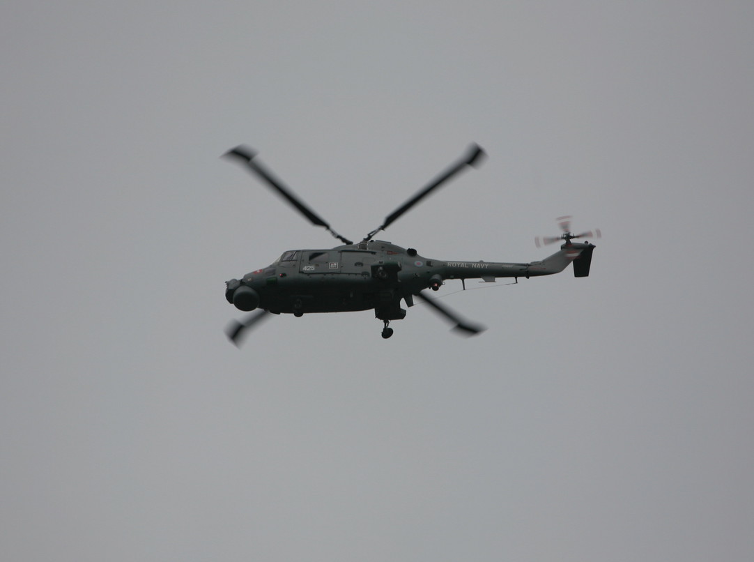 �A���o�g���X�̎G�L��