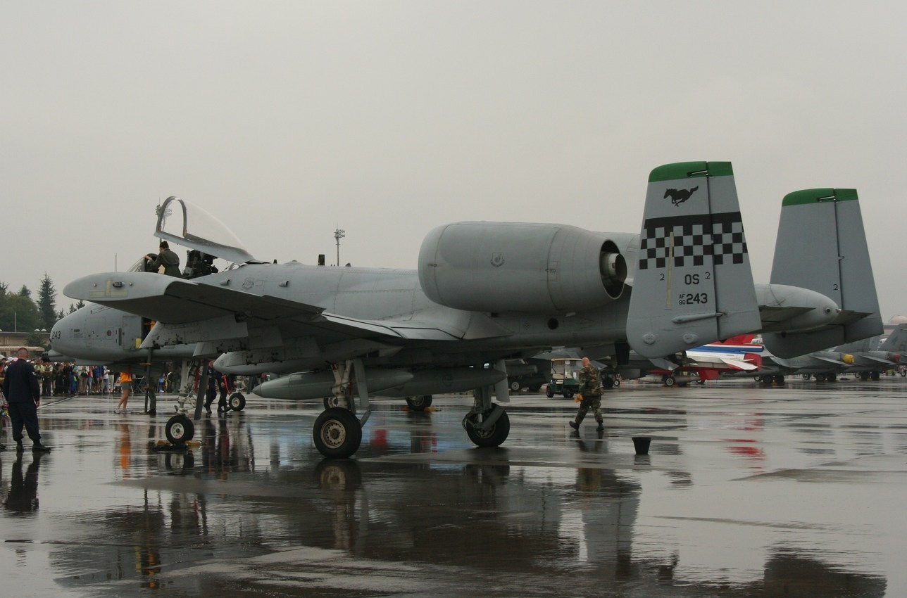 �A���o�g���X�̎G�L��