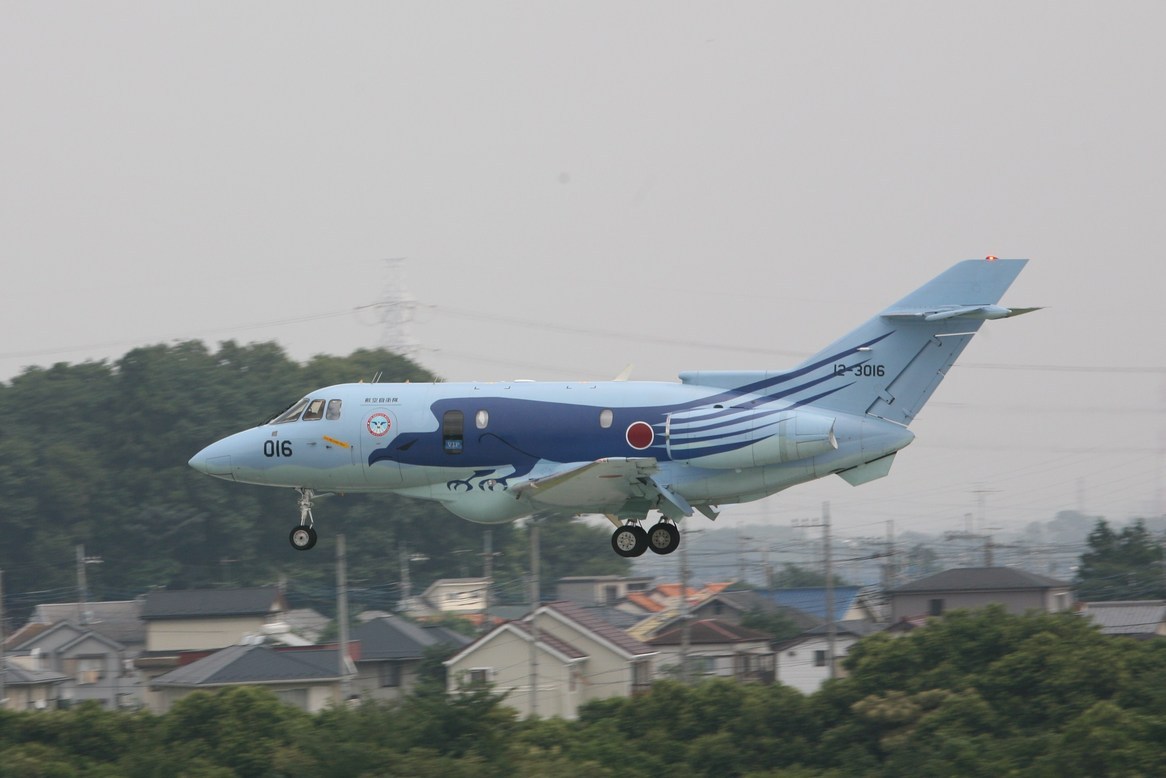 �A���o�g���X�̎G�L��