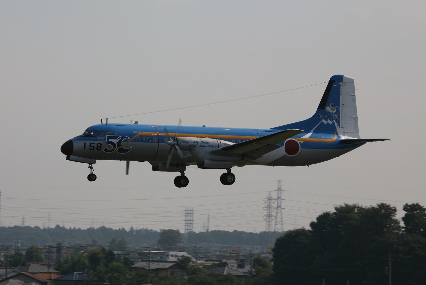 �A���o�g���X�̎G�L��