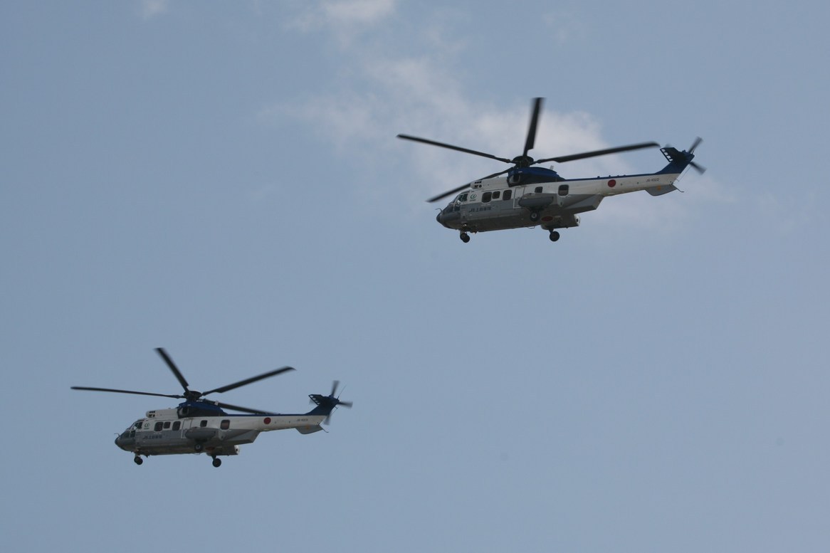 �A���o�g���X�̎G�L��