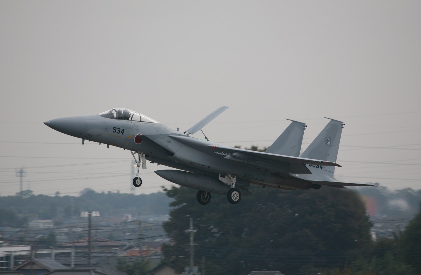 �A���o�g���X�̎G�L��