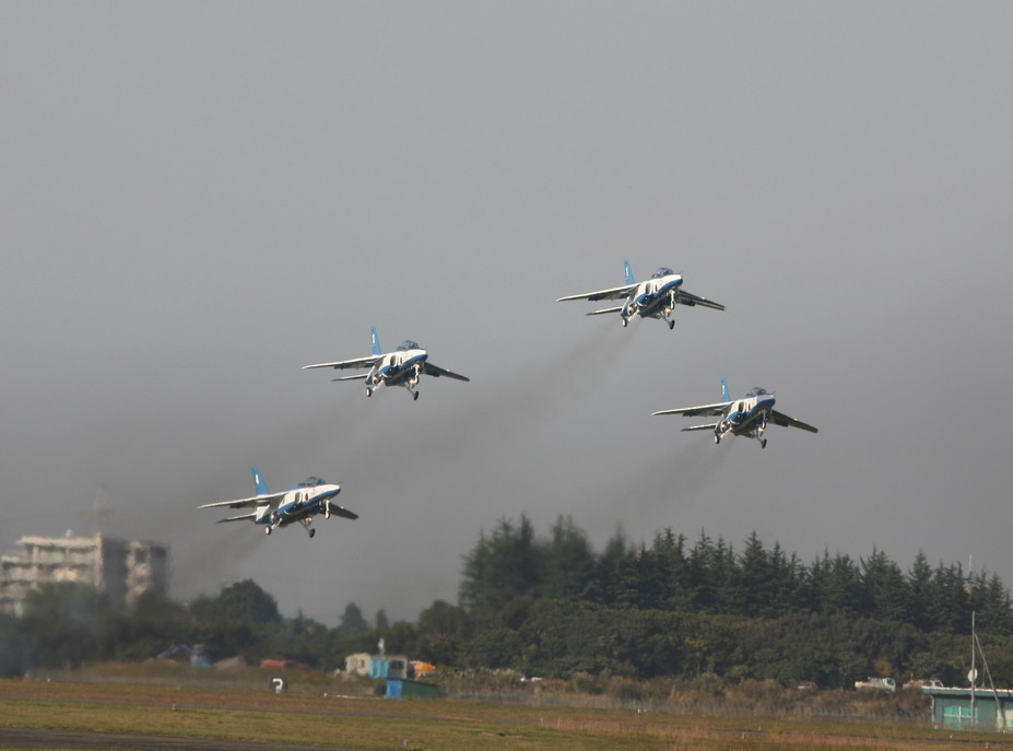 �A���o�g���X�̎G�L��